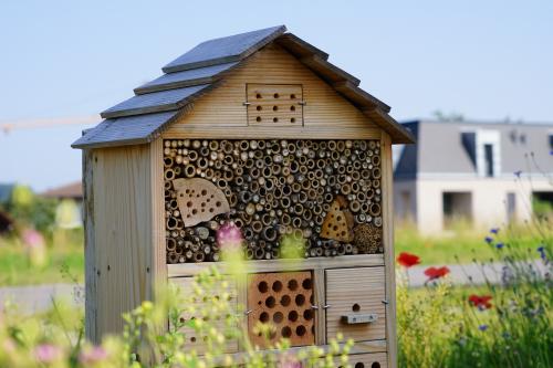 Evertis-biodiversite-nature-hotel-insectes