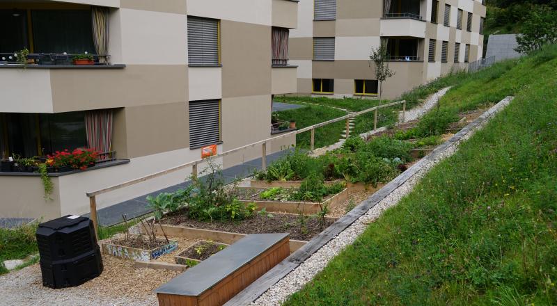 Potager communautaire