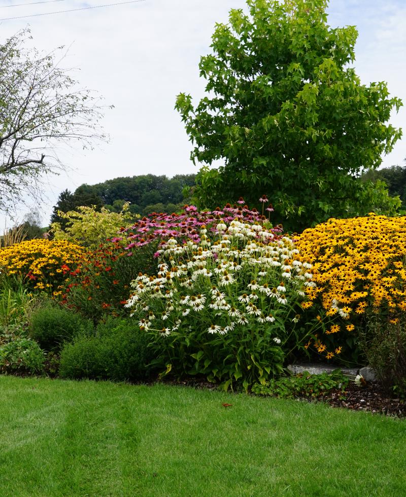 jardin en fleurs